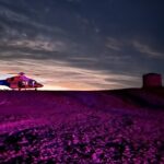 lifeflight_528186_01-1