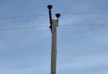 Power outage today will effect 850 customers across Maranoa today