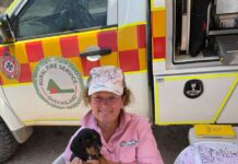 Serving the community