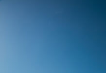 Art runs in Angus’s blood