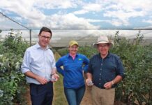 Littleproud keeps Nationals crown