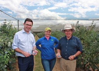 Littleproud keeps Nationals crown