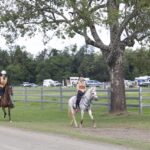 1005STIRLI_405042_18