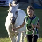 2104FARAWA_328899_31