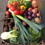 Garden0304_544043_01