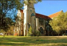 A window to the future