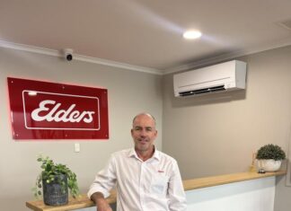 Elders real Estate guru Jon Kingston opens third office in Roma