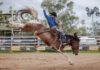 Wild weather no match for Tooloombilla Rodeo and Campdraft success