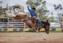 Wild weather no match for Tooloombilla Rodeo and Campdraft success