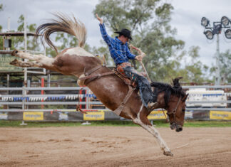 Wild weather no match for Tooloombilla Rodeo and Campdraft success