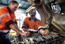 Apprenticeships that unlock career dreams