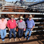 saleyards_543125_01