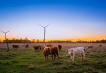 Global uncertainty fuels rural mental strain