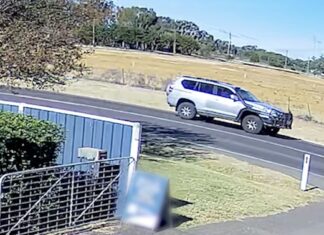 Police seek information for St George assault investigation