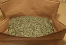 1.1kg of cannabis allegedly discovered in Charleville woman’s car