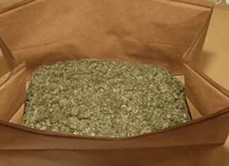 1.1kg of cannabis allegedly discovered in Charleville woman’s car
