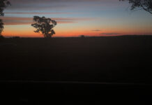 Just a South West Farmer photography showcase