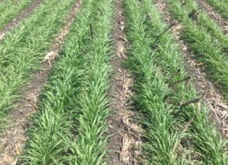 Small checks with big consequences