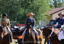 The 108th Wallumbilla show set to excite