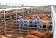 Experts in auction action
