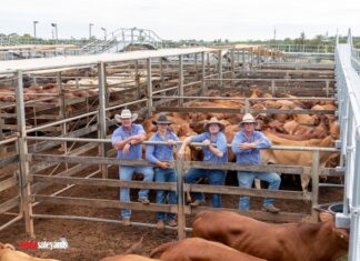 Experts in auction action