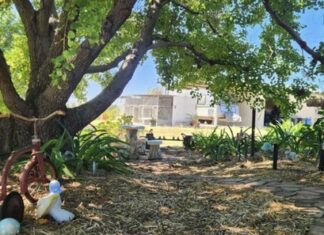 Garden Stories: The Far Horizon