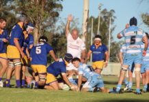 Wheatmen overturn 17 point defecit against the Echidna’s