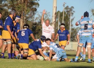 Wheatmen overturn 17 point defecit against the Echidna’s