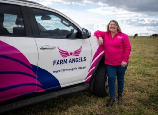 Major investment in rural resilience