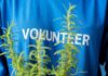 Celebrate Volunteers