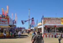 Show thrills this year